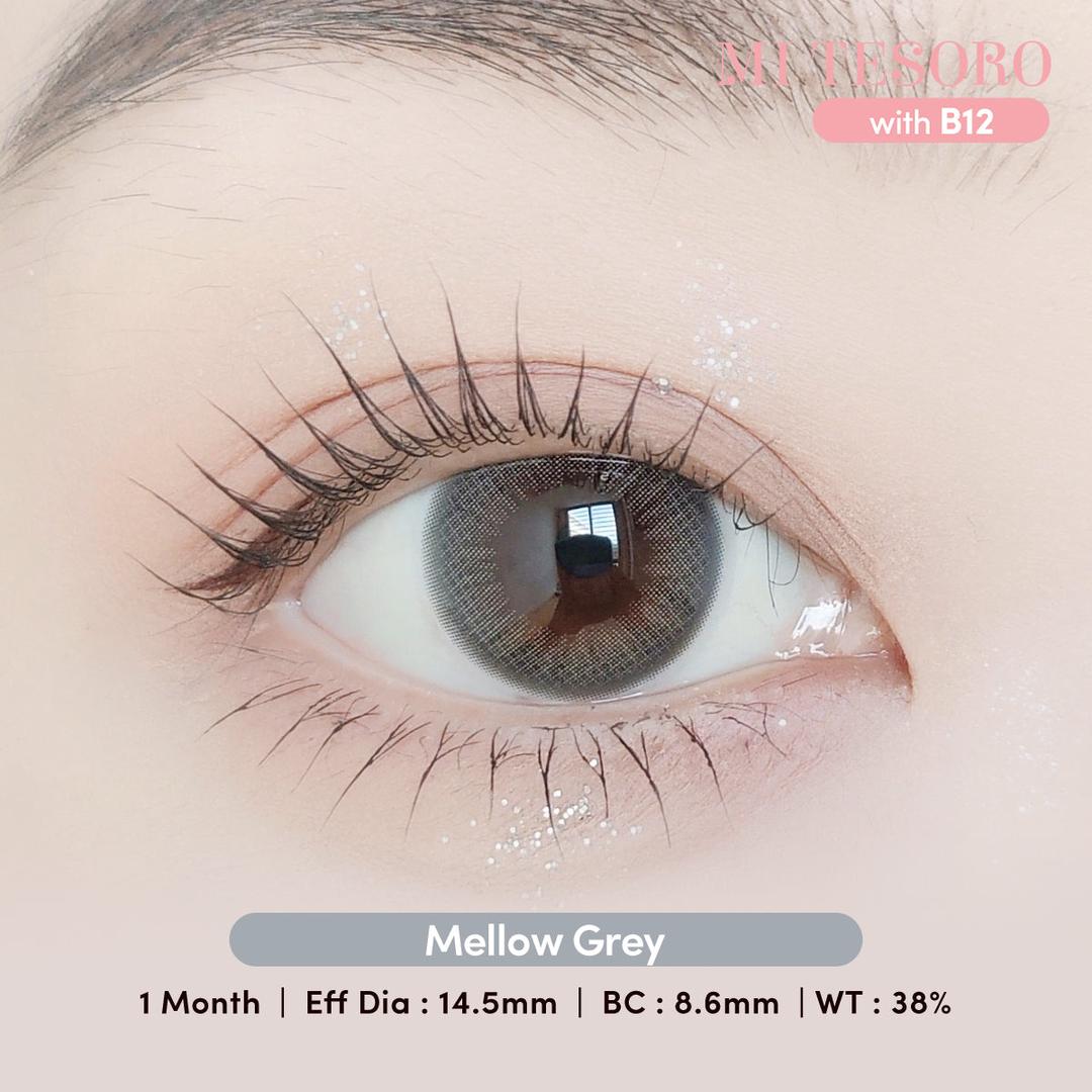 Mellow Grey-Mi Tesoro Monthly Color Con 2pcs (Eff dia:14.5mm)