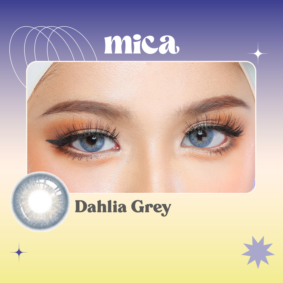 Dahlia Grey 0-800